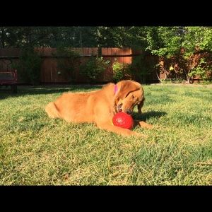 Meet your Posher, Jordyn